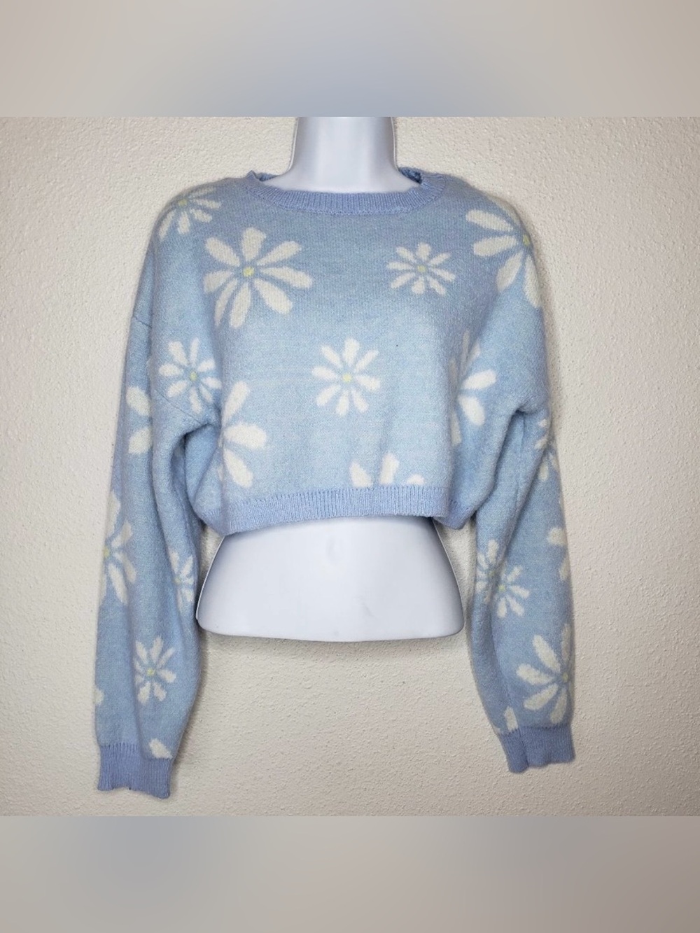 Witty Fox Comfy Plush Baby Blue Daisy Cropped Sweater